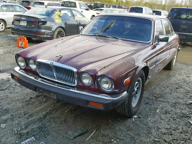 SAJAV1347FC413732 - 1985 JAGUAR XJ6 RED photo 2