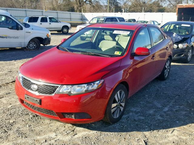 KNAFU4A21D5674539 - 2013 KIA FORTE EX RED photo 2