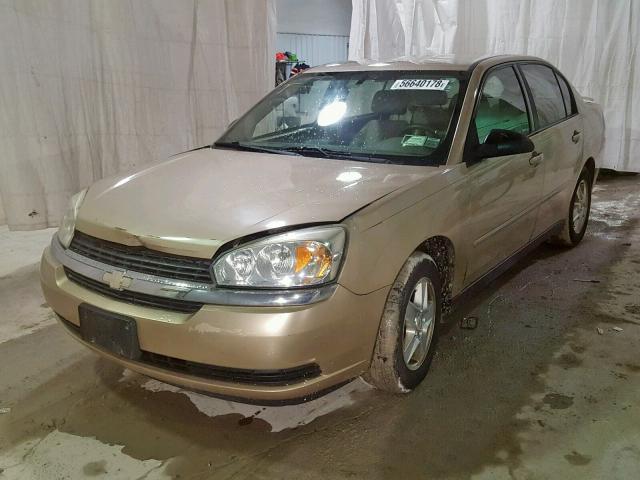1G1ZT54834F123640 - 2004 CHEVROLET MALIBU LS TAN photo 2
