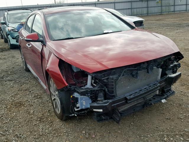 5NPE34AF4GH325125 - 2016 HYUNDAI SONATA SPO RED photo 1