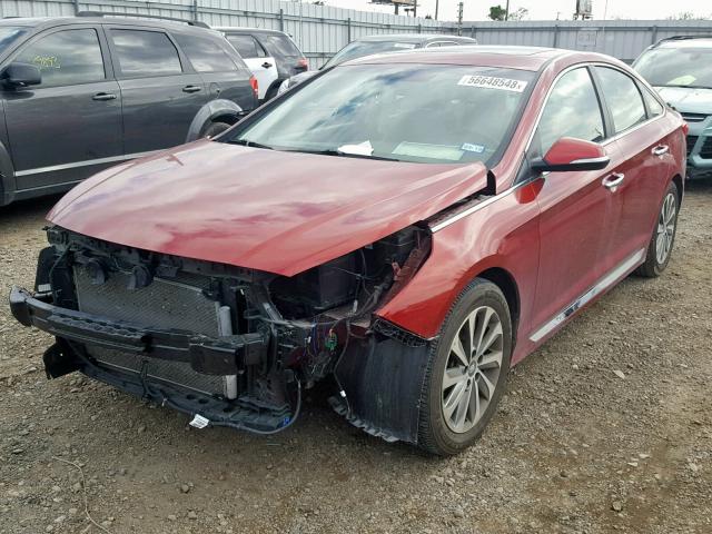 5NPE34AF4GH325125 - 2016 HYUNDAI SONATA SPO RED photo 2