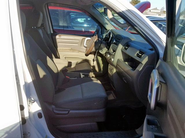 2HJYK16486H555159 - 2006 HONDA RIDGELINE WHITE photo 5