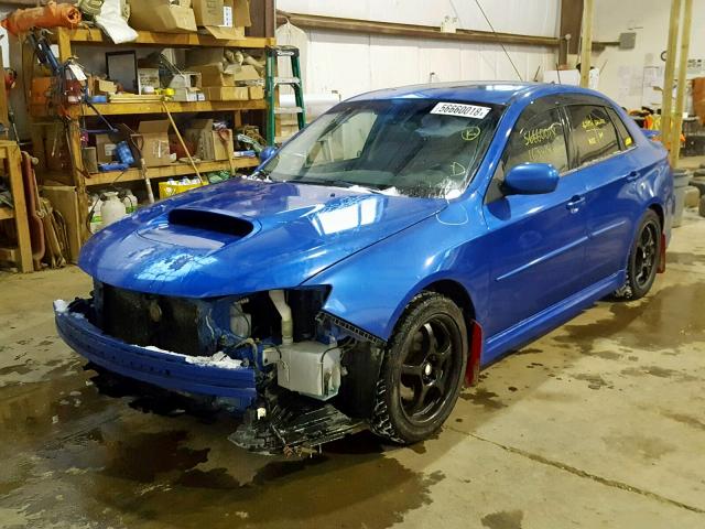 JF1GE76699G504531 - 2009 SUBARU IMPREZA WR BLUE photo 2