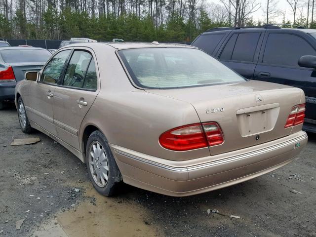 WDBJF65J51B209696 - 2001 MERCEDES-BENZ E 320 TAN photo 3