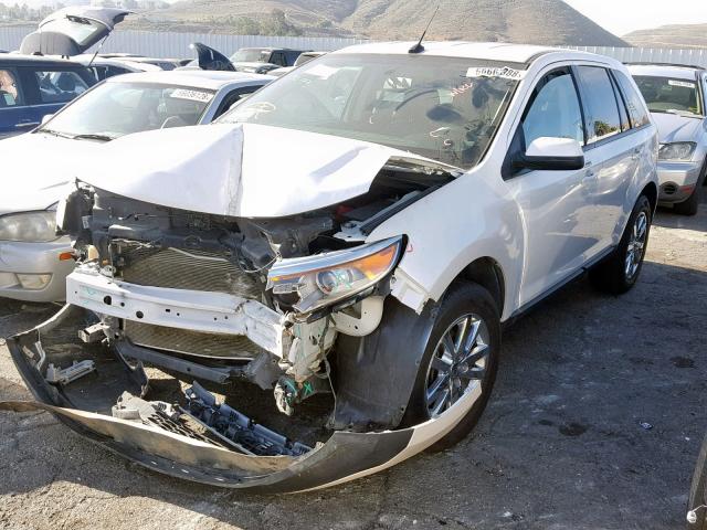 2FMDK4JC5DBC12291 - 2013 FORD EDGE SEL WHITE photo 2