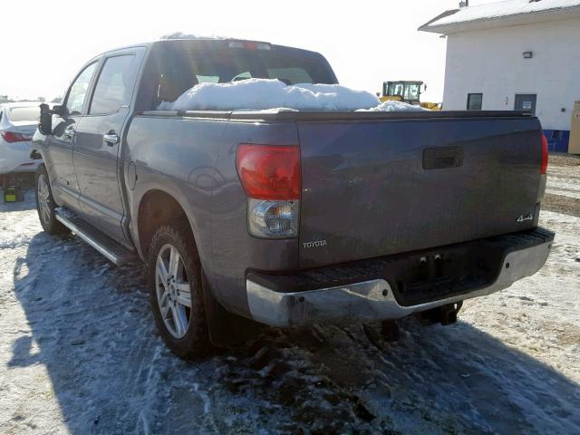 5TBDV58167S459577 - 2007 TOYOTA TUNDRA CRE CHARCOAL photo 3