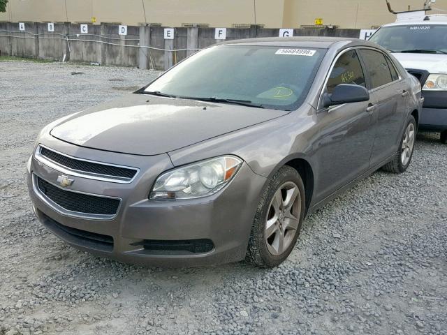 1G1ZB5EB6A4146897 - 2010 CHEVROLET MALIBU LS თაფლისფერი ფოტო 2