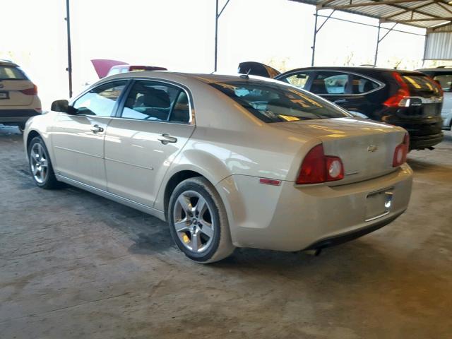 1G1ZH57B29F162123 - 2009 CHEVROLET MALIBU 1LT 米色 照片 3