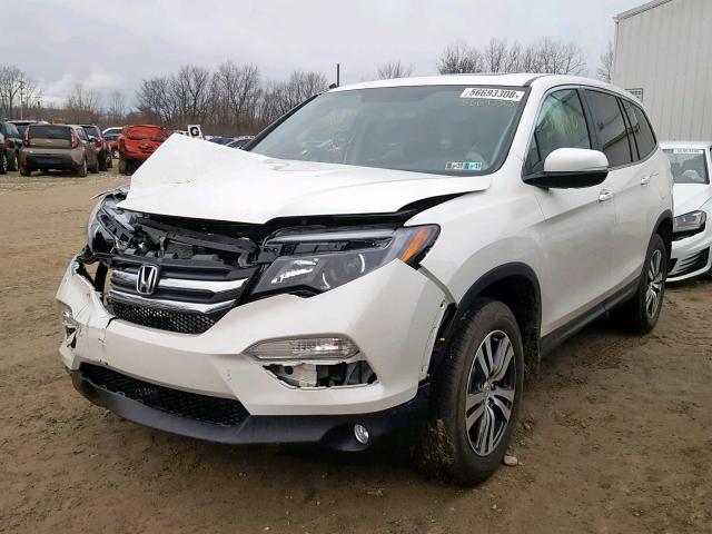 5FNYF6H76HB075398 - 2017 HONDA PILOT EXLN WHITE photo 2