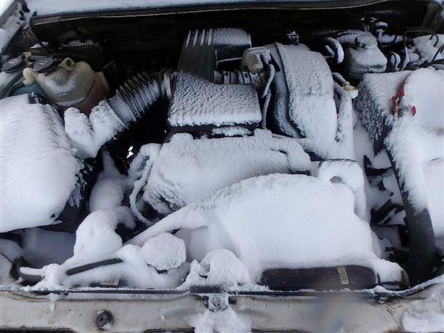 1GTDT136268261963 - 2006 GMC CANYON BEIGE photo 7