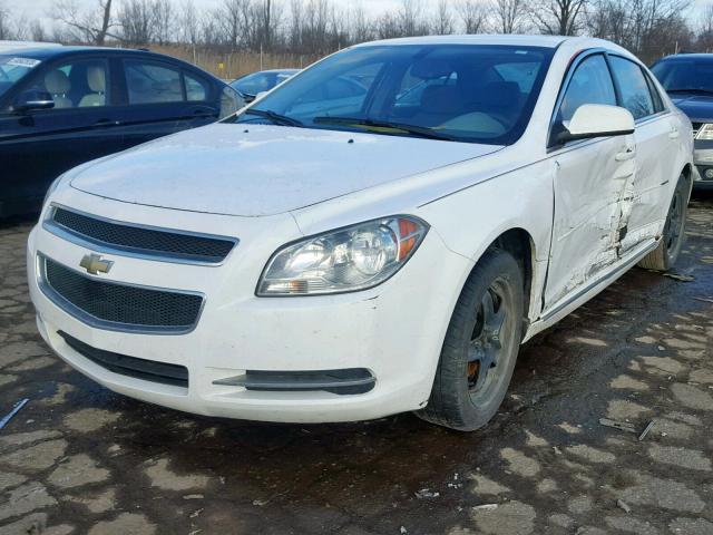 1G1ZH57B09F234811 - 2009 CHEVROLET MALIBU 1LT 白色 照片 2