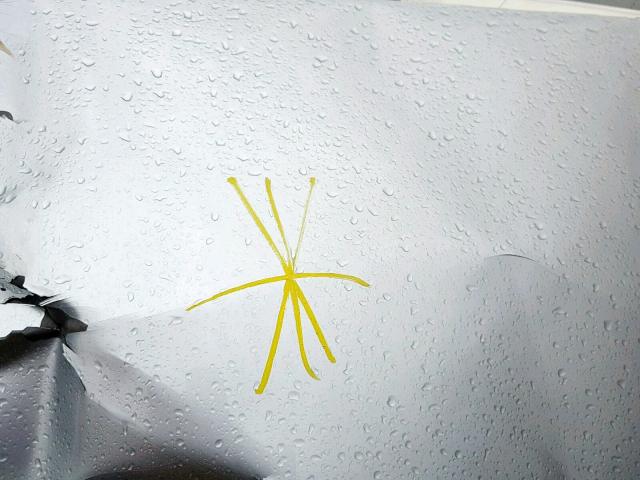 1G1ZC5E02CF209822 - 2012 CHEVROLET MALIBU 1LT ვერცხლისფერი ფოტო 7