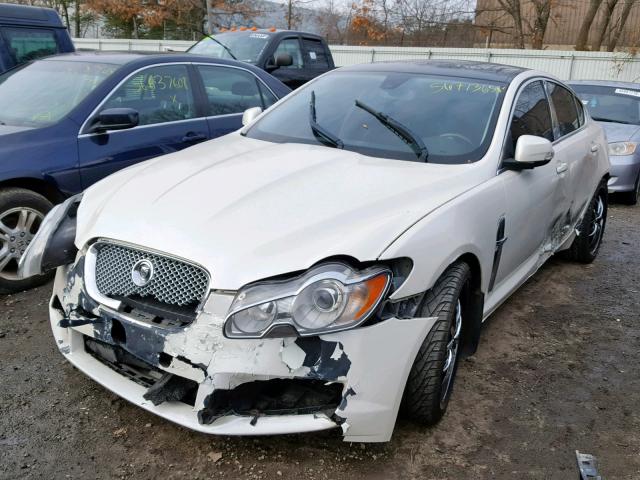 SAJWA05B69HR10446 - 2009 JAGUAR XF LUXURY WHITE photo 2