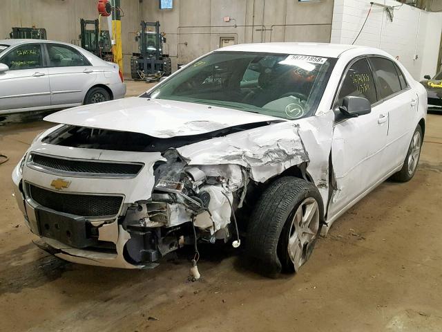 1G1ZA5EUXCF388751 - 2012 CHEVROLET MALIBU LS 白色 照片 2