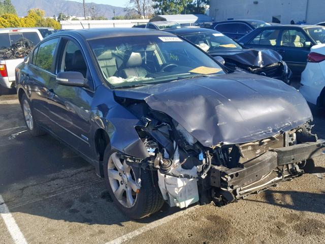 1N4CL21E29C155757 - 2009 NISSAN ALTIMA HYB GRAY photo 1