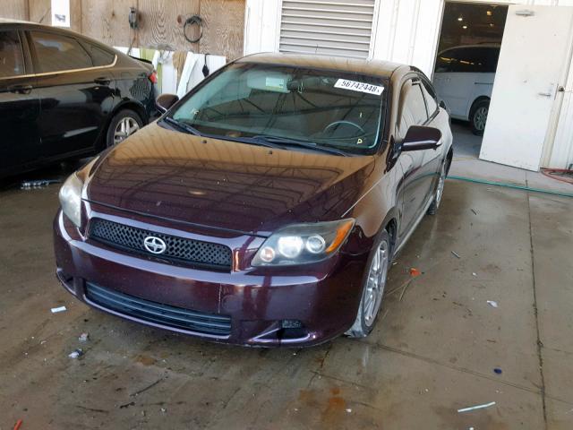 JTKDE167990277068 - 2009 TOYOTA SCION TC იასამნისფერი ფოტო 2