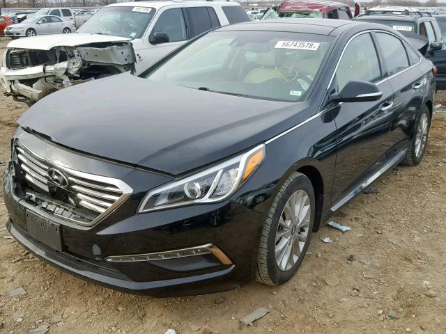 5NPE34AF9FH228274 - 2015 HYUNDAI SONATA SPO BLACK photo 2