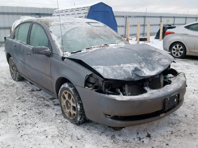 1G8AZ52FX4Z174856 - 2004 SATURN ION LEVEL GRAY photo 1