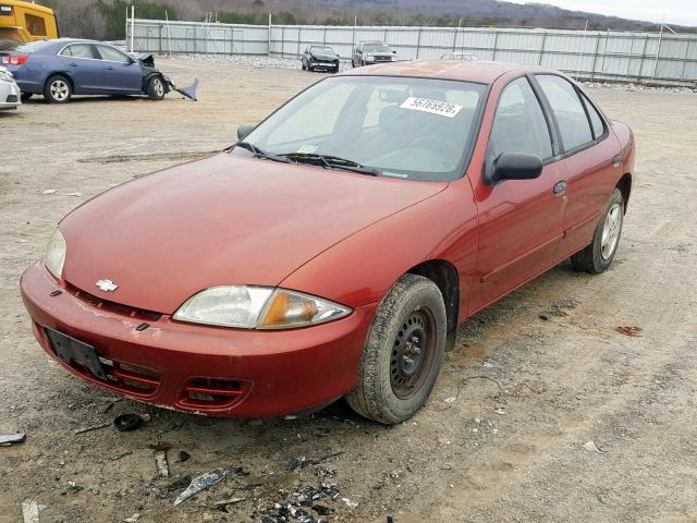 1G1JC524517235519 - 2001 CHEVROLET CAVALIER B RED photo 2