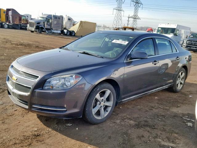 1G1ZC5E17BF299704 - 2011 CHEVROLET MALIBU 1LT GRAY photo 2