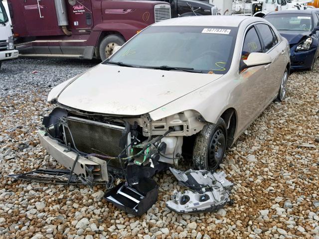1G1ZC5E14BF218562 - 2011 CHEVROLET MALIBU 1LT BEIGE photo 2