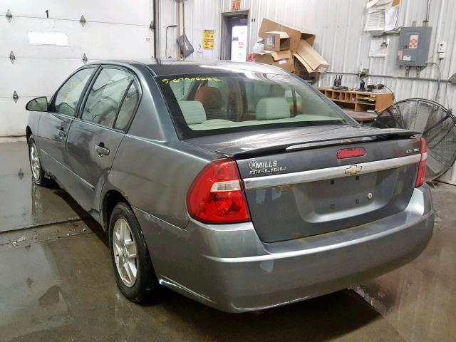 1G1ZT52895F311339 - 2005 CHEVROLET MALIBU LS Մոխրագույն լուսանկար 3