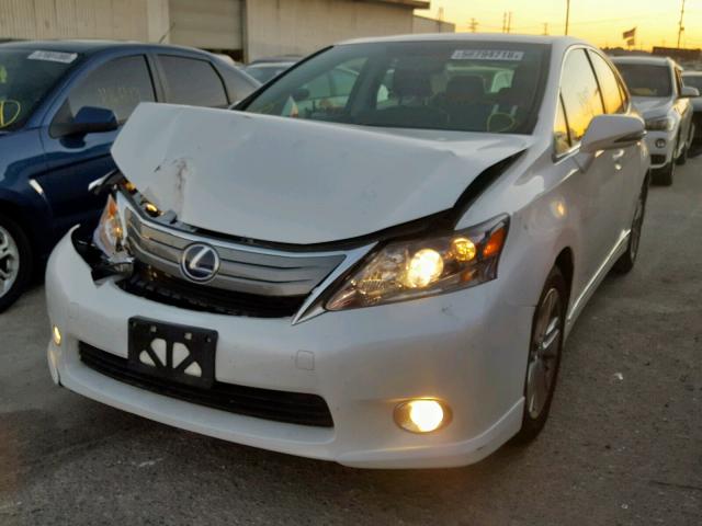 JTHBB1BA4A2037720 - 2010 LEXUS HS 250H TWO TONE photo 2