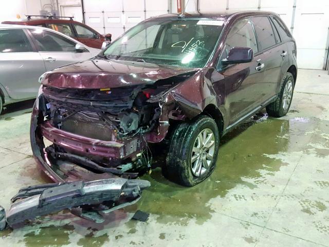 2FMDK4JC1BBA84452 - 2011 FORD EDGE SEL MAROON photo 2