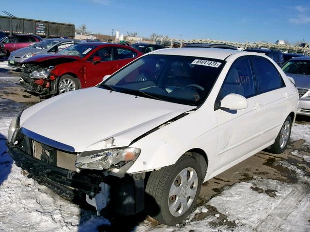 KNAFE121685506225 - 2008 KIA SPECTRA EX WHITE photo 2