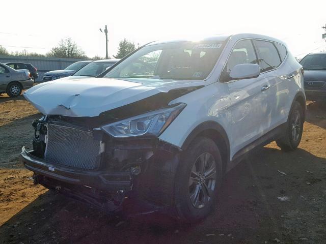 5XYZTDLB9EG210410 - 2014 HYUNDAI SANTA FE S WHITE photo 2