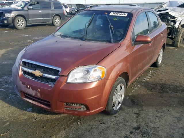 KL1TD5DE4BB244155 - 2011 CHEVROLET AVEO LS TAN photo 2