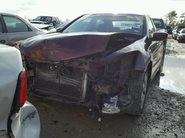 1HGCP36868A076711 - 2008 HONDA ACCORD EXL MAROON photo 2