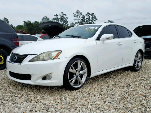 JTHBK262292089559 - 2009 LEXUS IS 250 WHITE photo 2