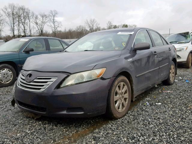 4T1BB46K98U040600 - 2008 TOYOTA CAMRY HYBR GRAY photo 2