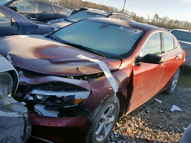 1G1ZB5ST7GF265021 - 2016 CHEVROLET MALIBU LS BURGUNDY photo 2