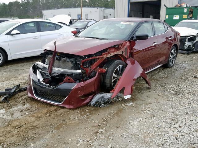 1N4AA6AP6HC432835 - 2017 NISSAN MAXIMA 3.5 MAROON photo 2