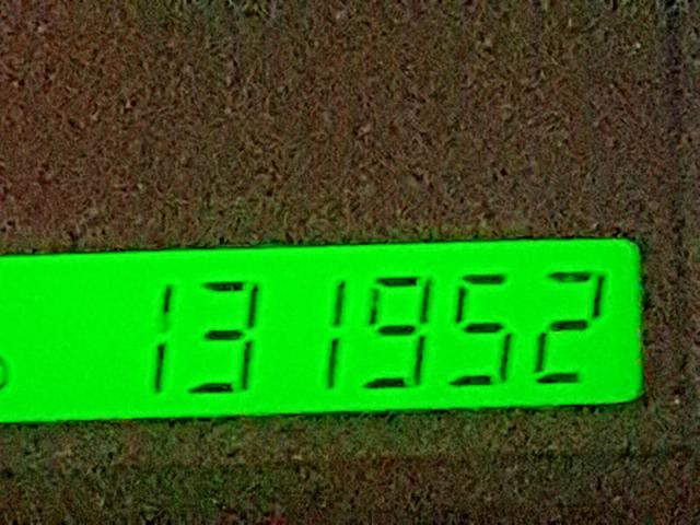 KL1TD66E39B349069 - 2009 CHEVROLET AVEO LS RED photo 8