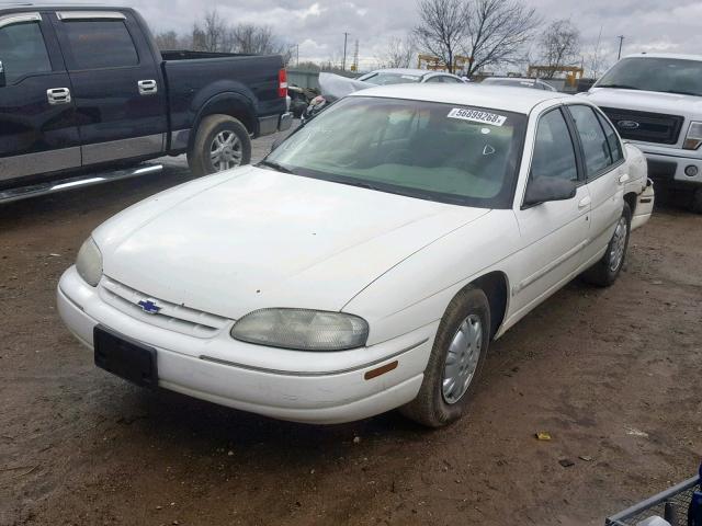 2G1WL52J511115065 - 2001 CHEVROLET LUMINA WHITE photo 2