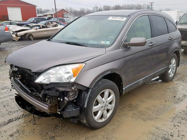 5J6RE48759L022759 - 2009 HONDA CR-V EXL GRAY photo 2