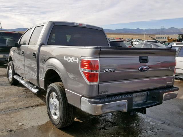 1FTFW1EF2EKE71073 - 2014 FORD F150 SUPER GRAY photo 3