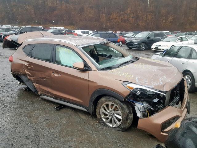 KM8J3CA23HU303836 - 2017 HYUNDAI TUCSON LIM BROWN photo 1