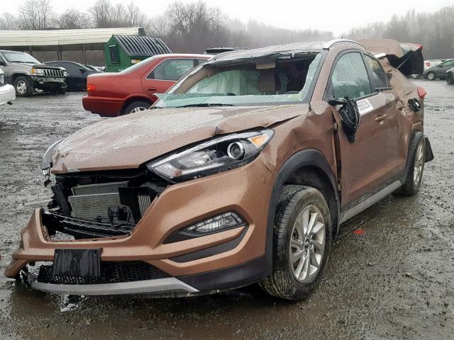 KM8J3CA23HU303836 - 2017 HYUNDAI TUCSON LIM BROWN photo 2