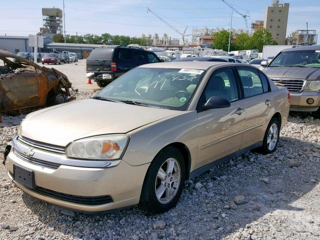 1G1ZT54835F197237 - 2005 CHEVROLET MALIBU LS TAN photo 2