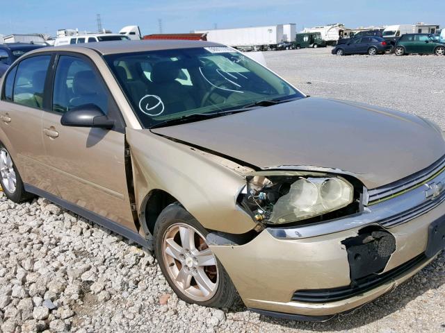 1G1ZT54835F197237 - 2005 CHEVROLET MALIBU LS TAN photo 9