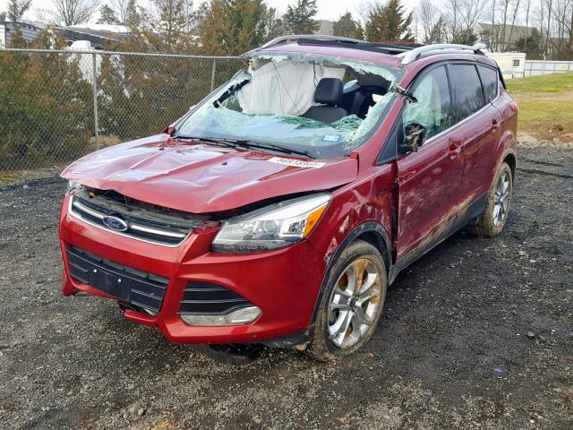 1FMCU0JX2FUB47687 - 2015 FORD ESCAPE TIT RED photo 2