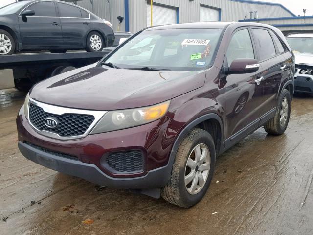 5XYKT3A16BG030772 - 2011 KIA SORENTO BA BURGUNDY photo 2