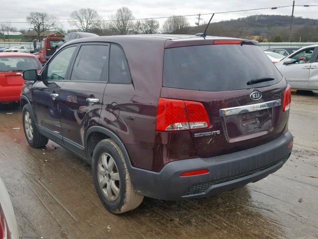 5XYKT3A16BG030772 - 2011 KIA SORENTO BA BURGUNDY photo 3