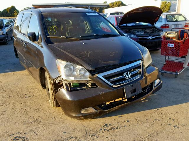 5FNRL38876B087626 - 2006 HONDA ODYSSEY TO BLACK photo 1