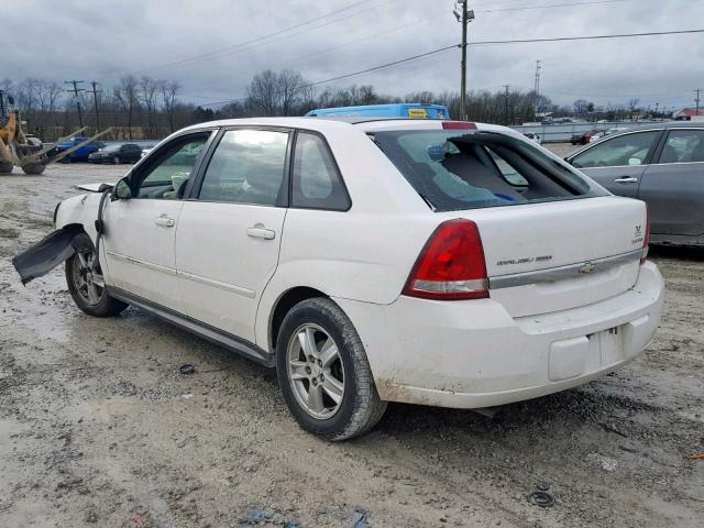 1G1ZT62825F266282 - 2005 CHEVROLET MALIBU MAX 白色 照片 3