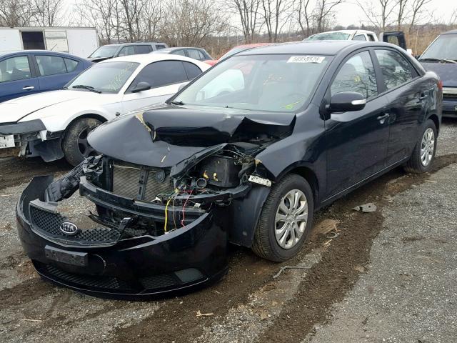 KNAFU4A25A5104331 - 2010 KIA FORTE EX BLACK photo 2